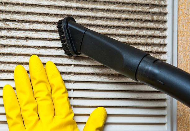 Best Air Duct Sanitizing Services  in Brookside Village, TX